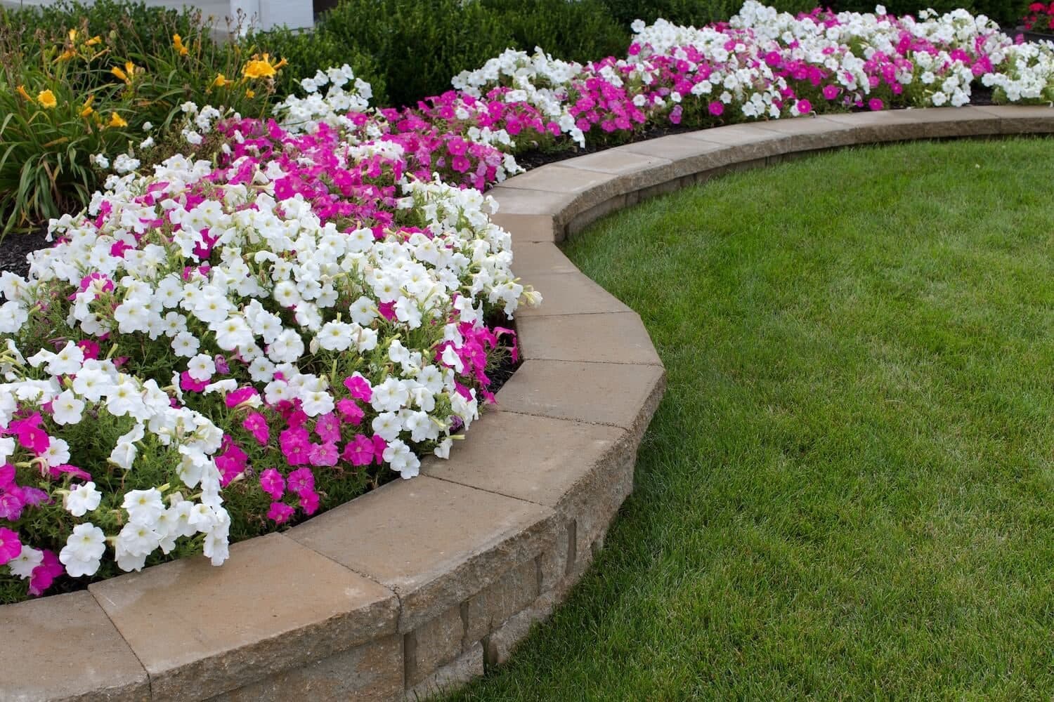 Elegant Edging Design: Enhance Your Garden with Paver Borders