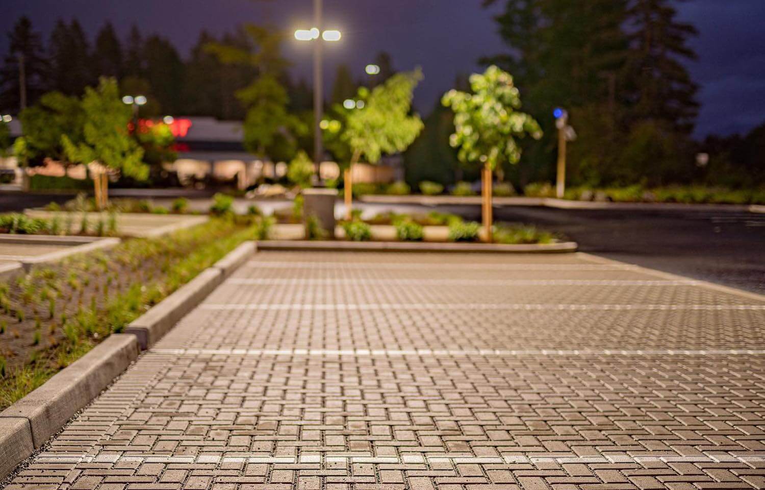 Commercial Hardscape Contractors: Finding the Best Service