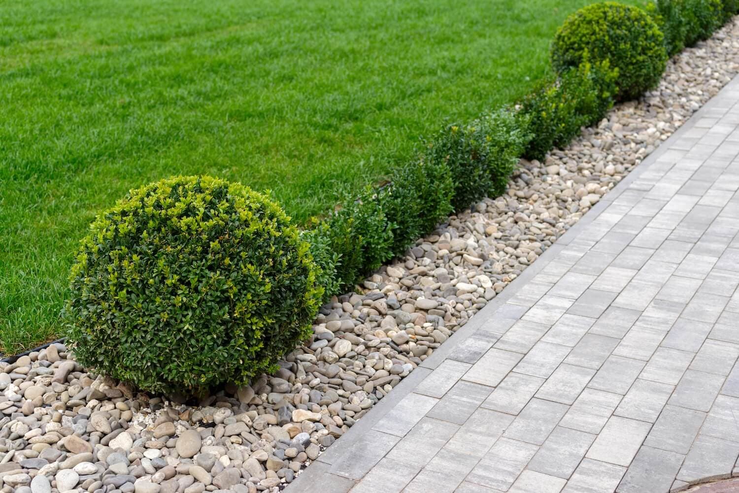 From Outdoor Bland to Beautiful: Why Your Yard Needs a Paver Walkway